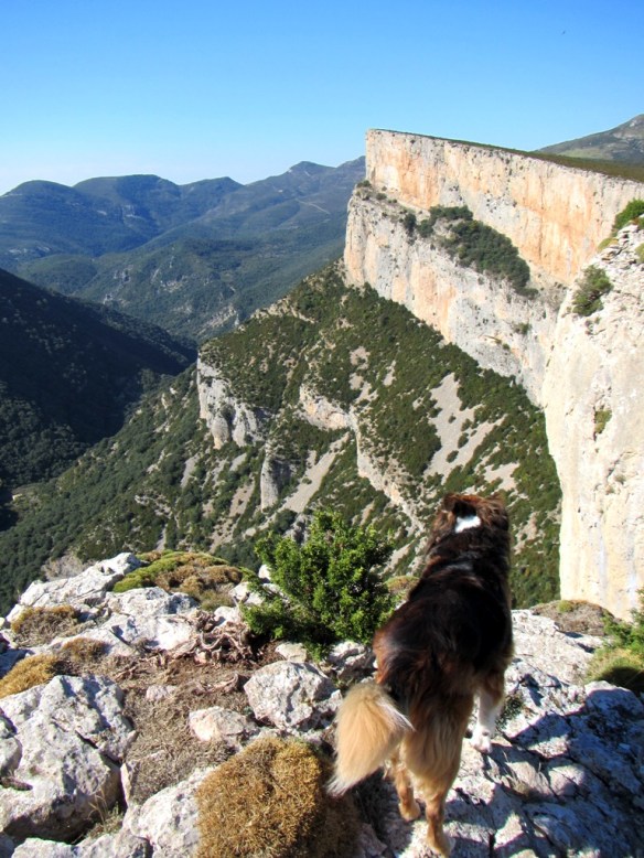 La cresta de Cienfuens