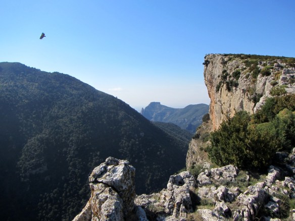 Las vistas del Escalar