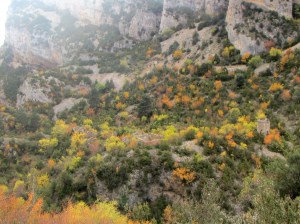 Las casas de la construcción