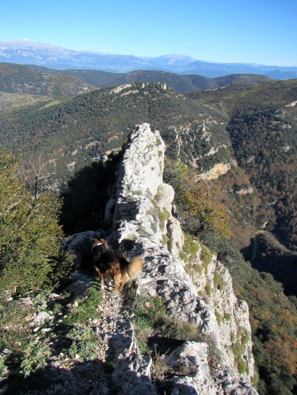 Robert en el paso por la arista