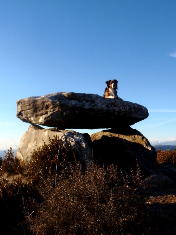 Robert y la Caseta de las Brujas