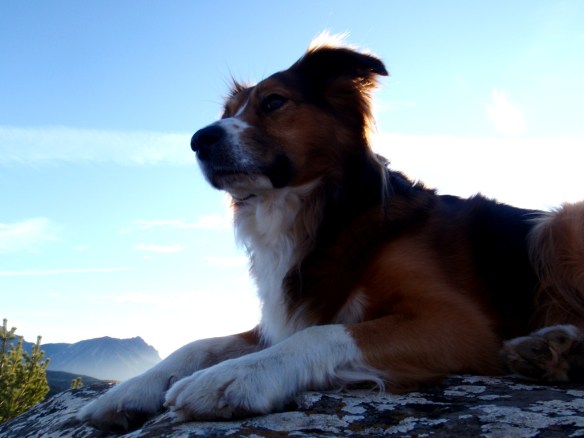 Robert posando como una Esfinge encima del dolmen