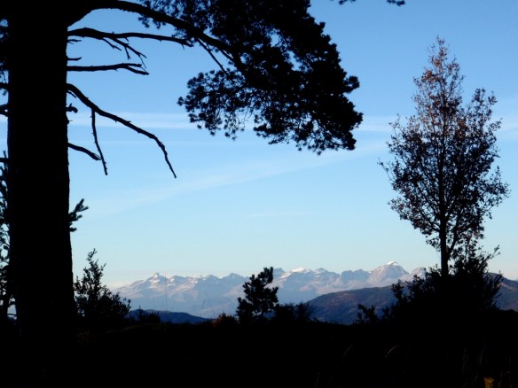 Buenas vistas a la Collarada