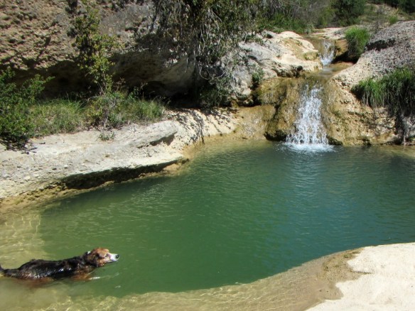 La poza marmita de Laguarta