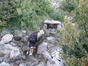 La Fuente Charrachón