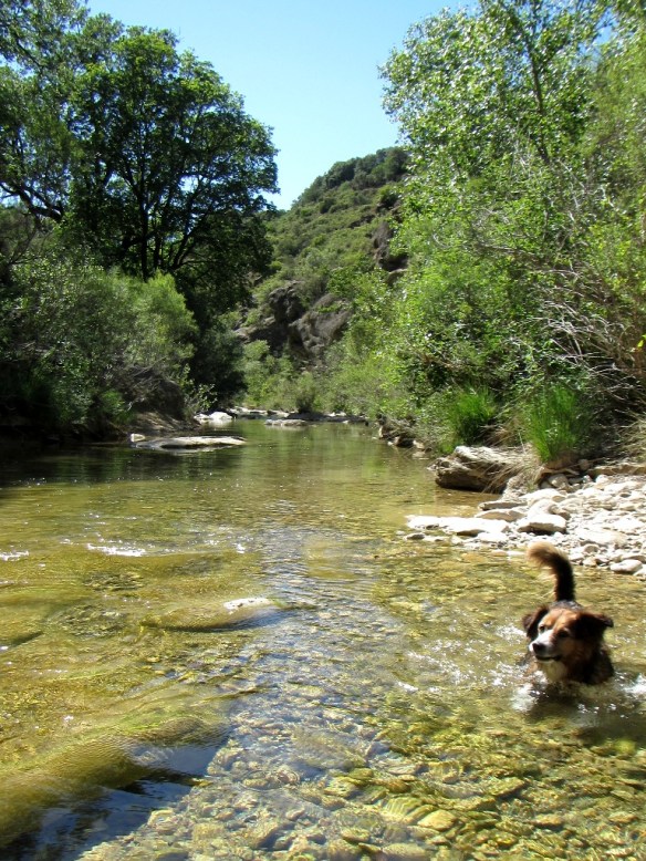 El Río Isuala cerca de Alberuela