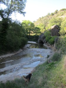El bloque mencionado