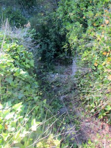 Una escalera olvidada