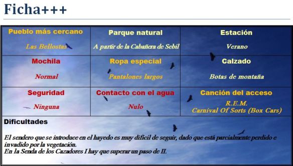 Ficha Hayedo - Invierno