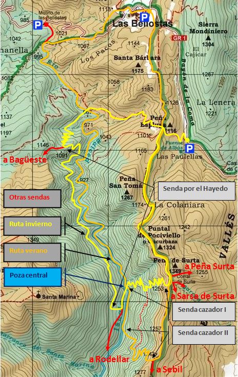 Croquis sobre el recorte