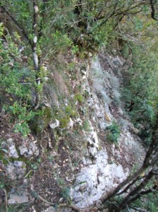 La Senda de los Cazadores II