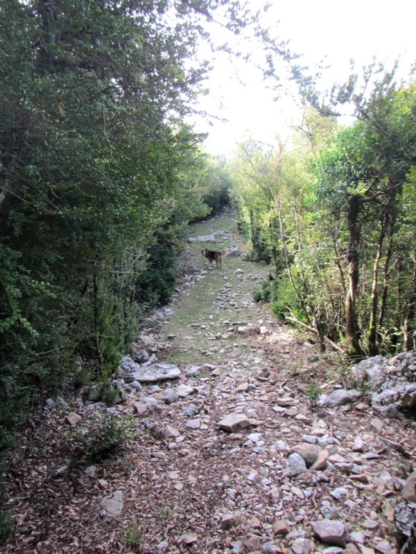 La Cabañera de Sebil