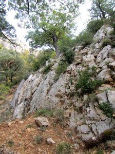 La Senda de los Cazadores I