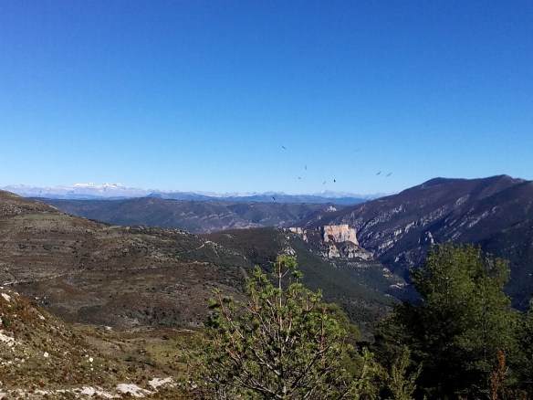 Las vistas a Cienfuens y el Pirineo