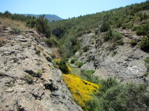 Las Gorgas del Romeral