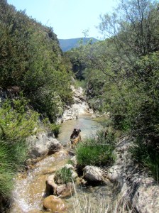 Las Gorgas del Romeral