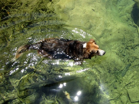 Un baño refrescante