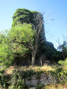 La iglesia de Secorún