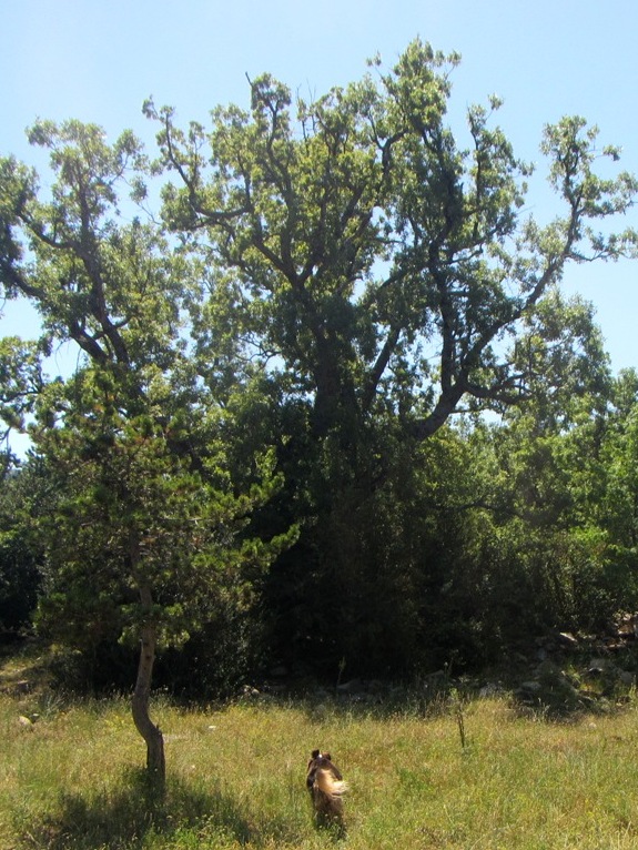 Llegando al Caxico Arialla