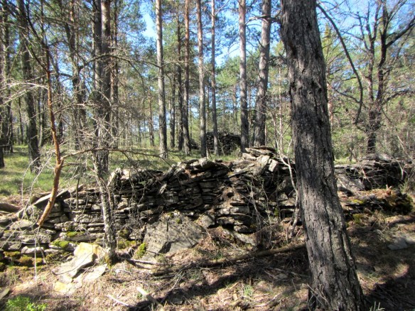 Las piedras apiladas y los muretes en el pinar