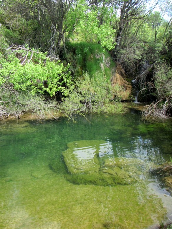 La poza del Molino de Azpe