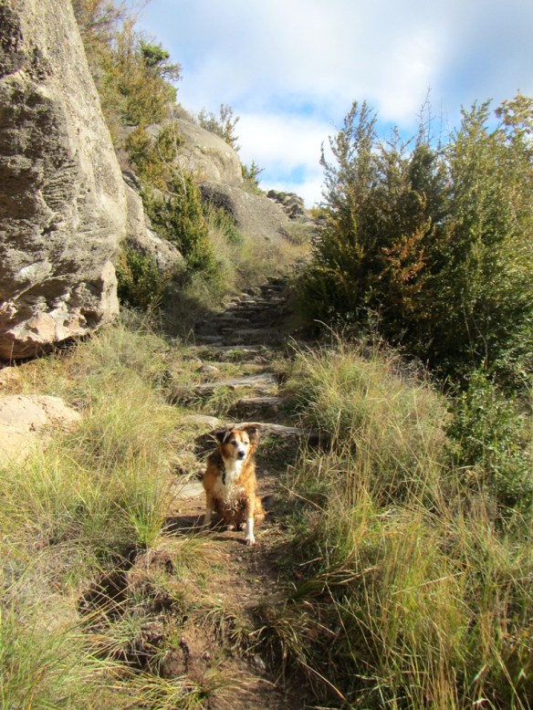 El camino cerca del molino