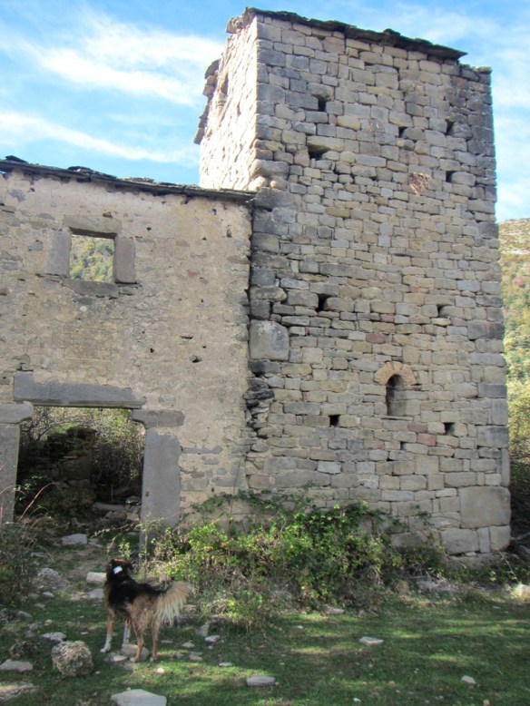 La Pardina de Binueste