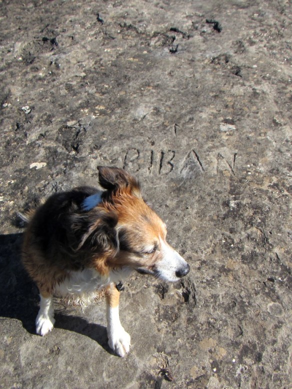 En la llegada a Binueste