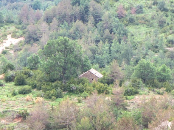 En el camino a Alastrué