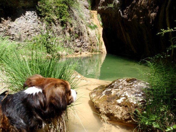 El Barranco Foroñón