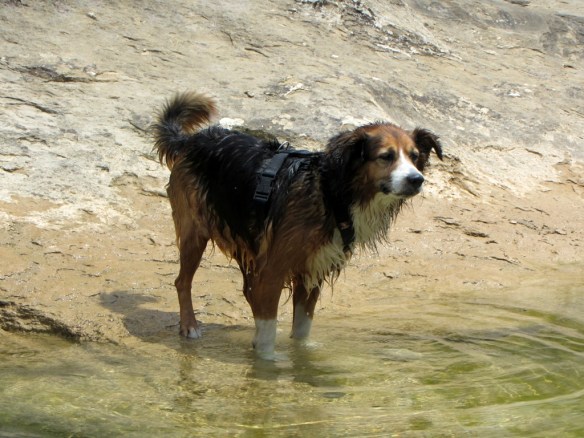 Robert contempla las aguas frescas