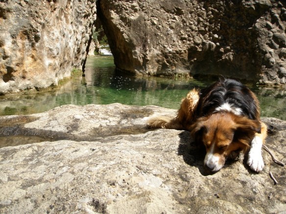 Robert descansa en la orilla del Flumen