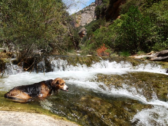 Robert se refresca con las aguas frescas del Flumen