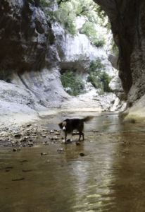 En el Balcez Superior