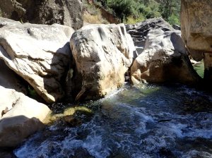 Los bloques que forman los 4 sifones