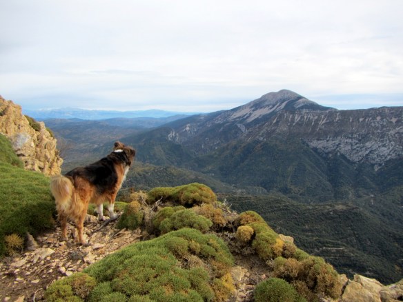 Robert también disfrutaba de las vistas