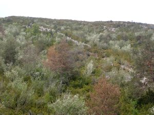 Los carteles de chapa que marcan el itinerario