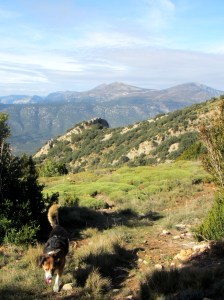Vistas desde el Mesón de Sebil