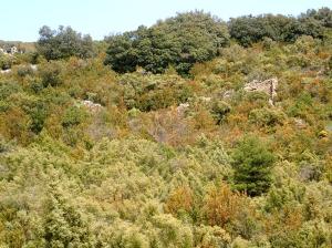 Un corral desconocido