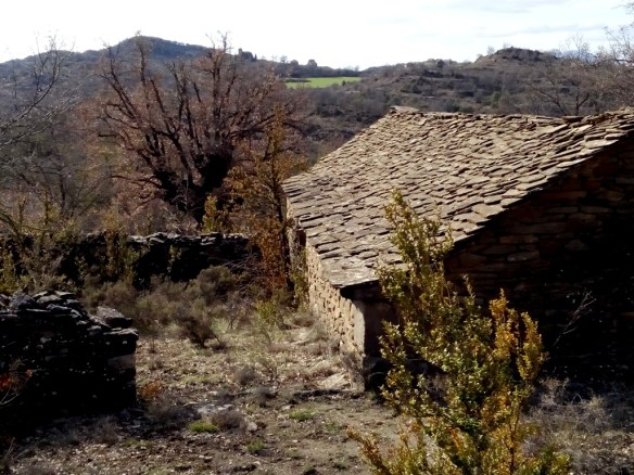 La Caseta Samper en Grasa