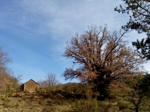 El Caxico y la Caseta Samper