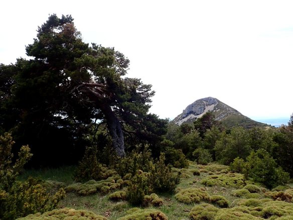 En la cara sur del Pico Gratal