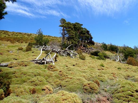 En la cara sur del Pico Gratal