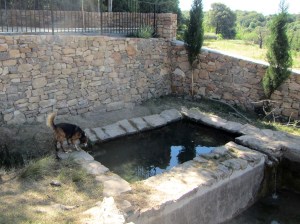La fuente de San Pelegrín
