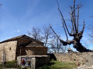 El cementerio de la Ermita San Román