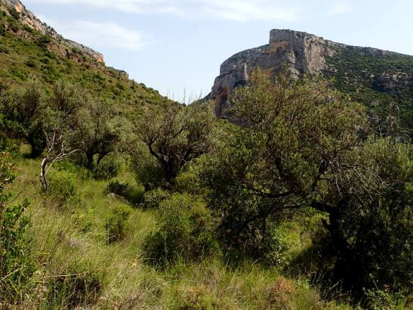 La Peña Bobín al fondo