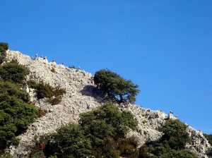 Los acompañantes fieles en esta ruta